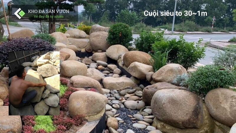 Cuội mồ côi Cuội mồ côi