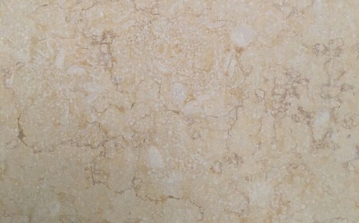 Mẫu đá marble rainforest golden từ Ấn Độ